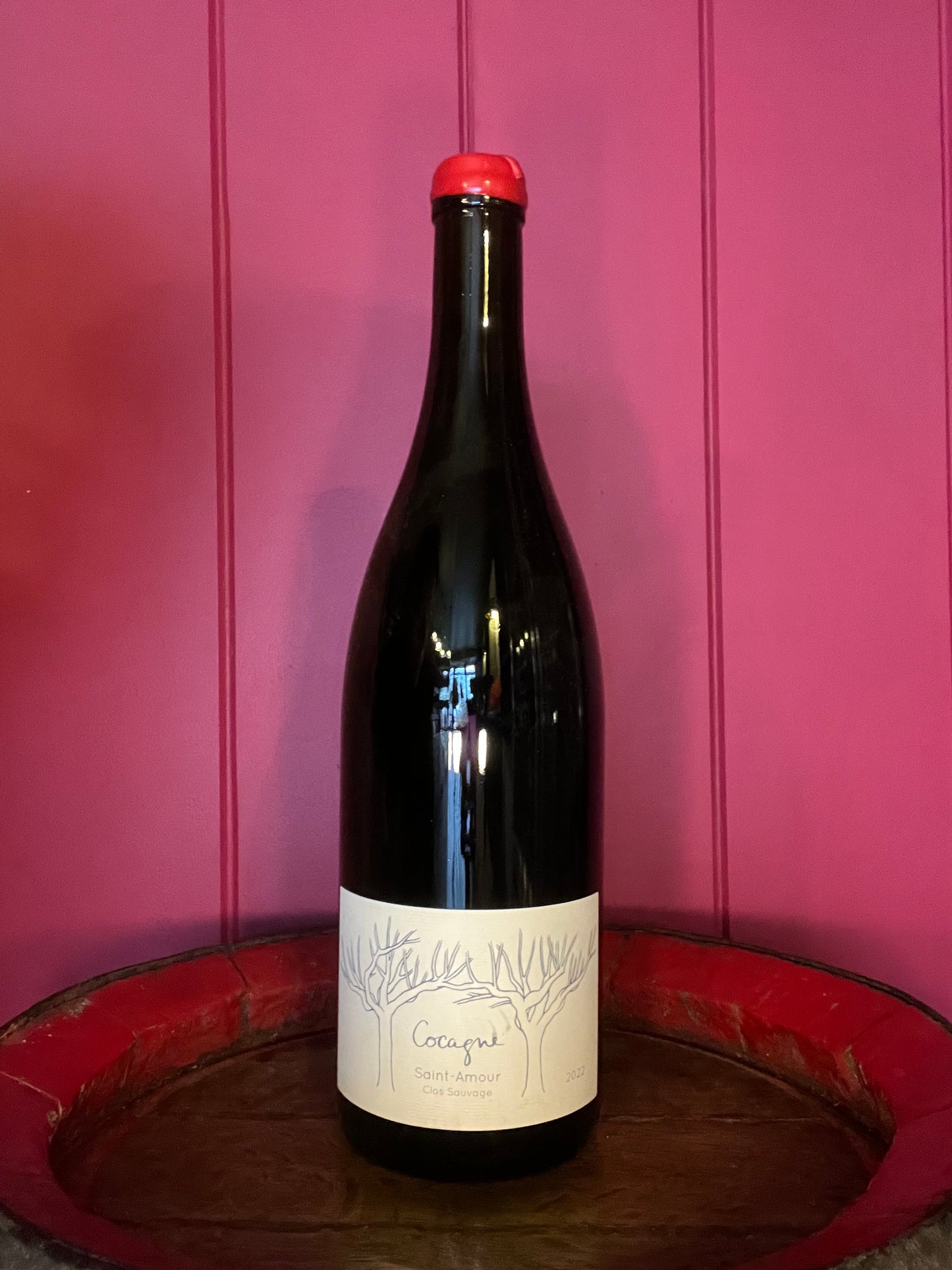 Clos Sauvage 'Cocagne' Saint Amour