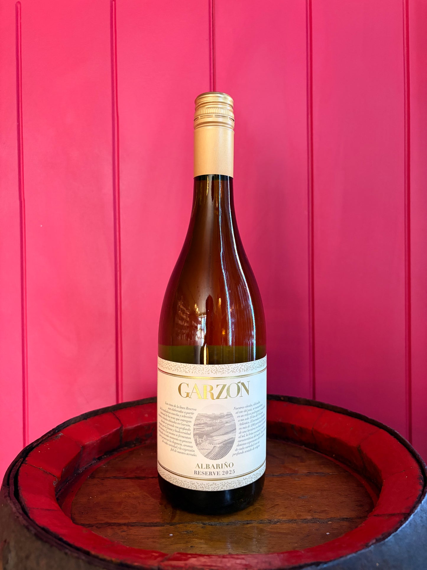 Bodega Garzon Reserve Albariño