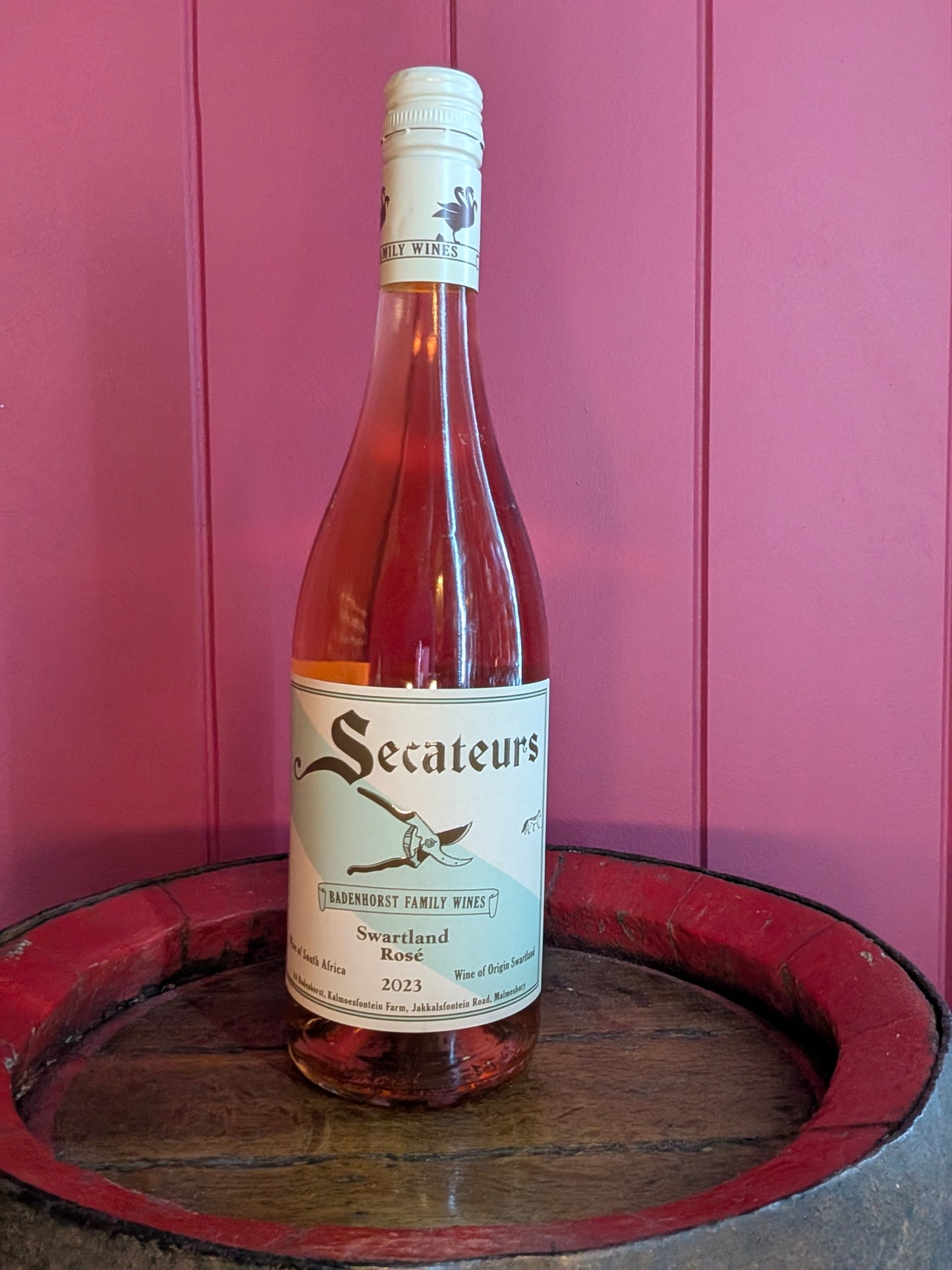 Badenhorst 'Secateurs' Rose