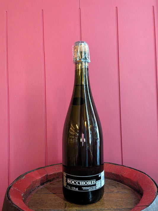 Bocchoris Cava NV
